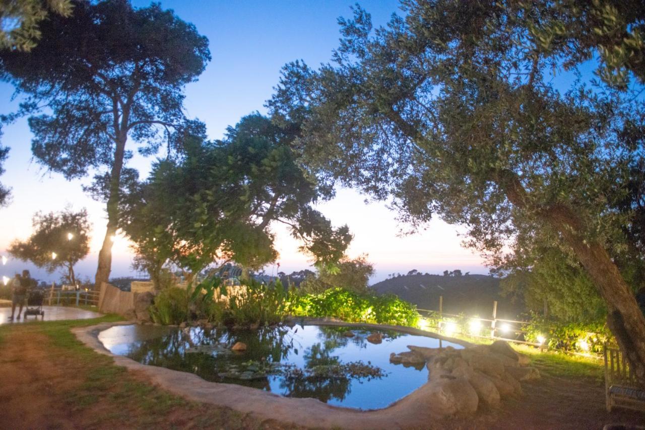 Beit Oren Hotel Экстерьер фото