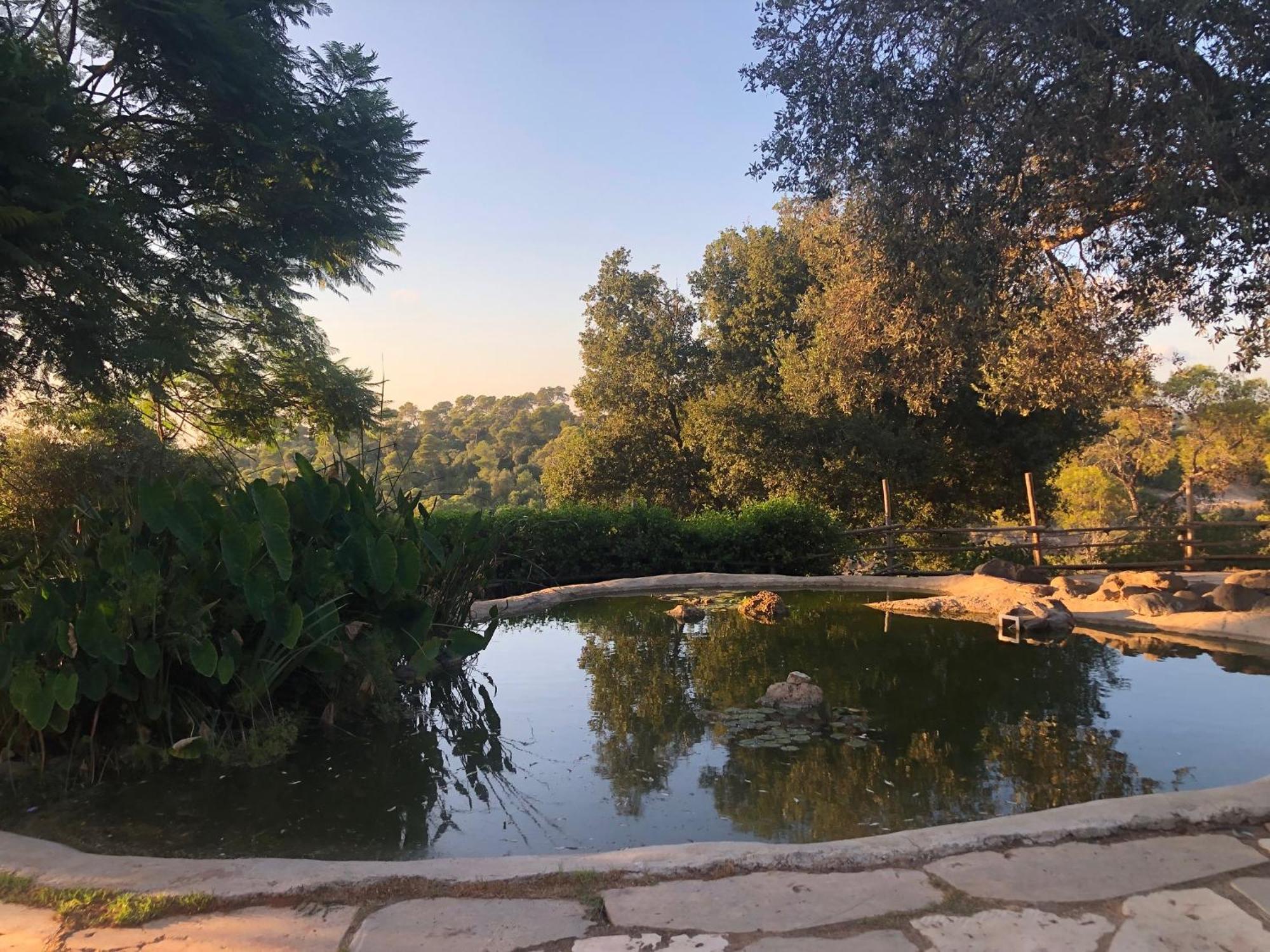 Beit Oren Hotel Экстерьер фото